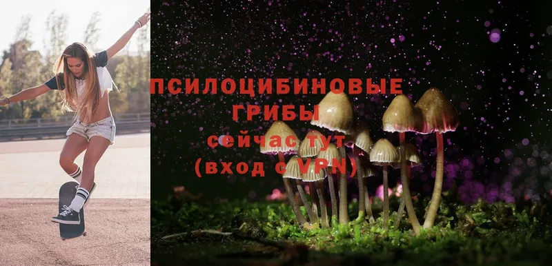 Галлюциногенные грибы MAGIC MUSHROOMS  Кизляр 